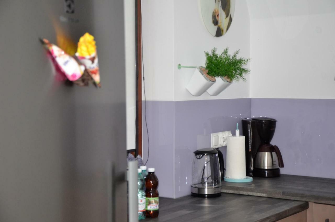 Przy Zrodelku Apartment *