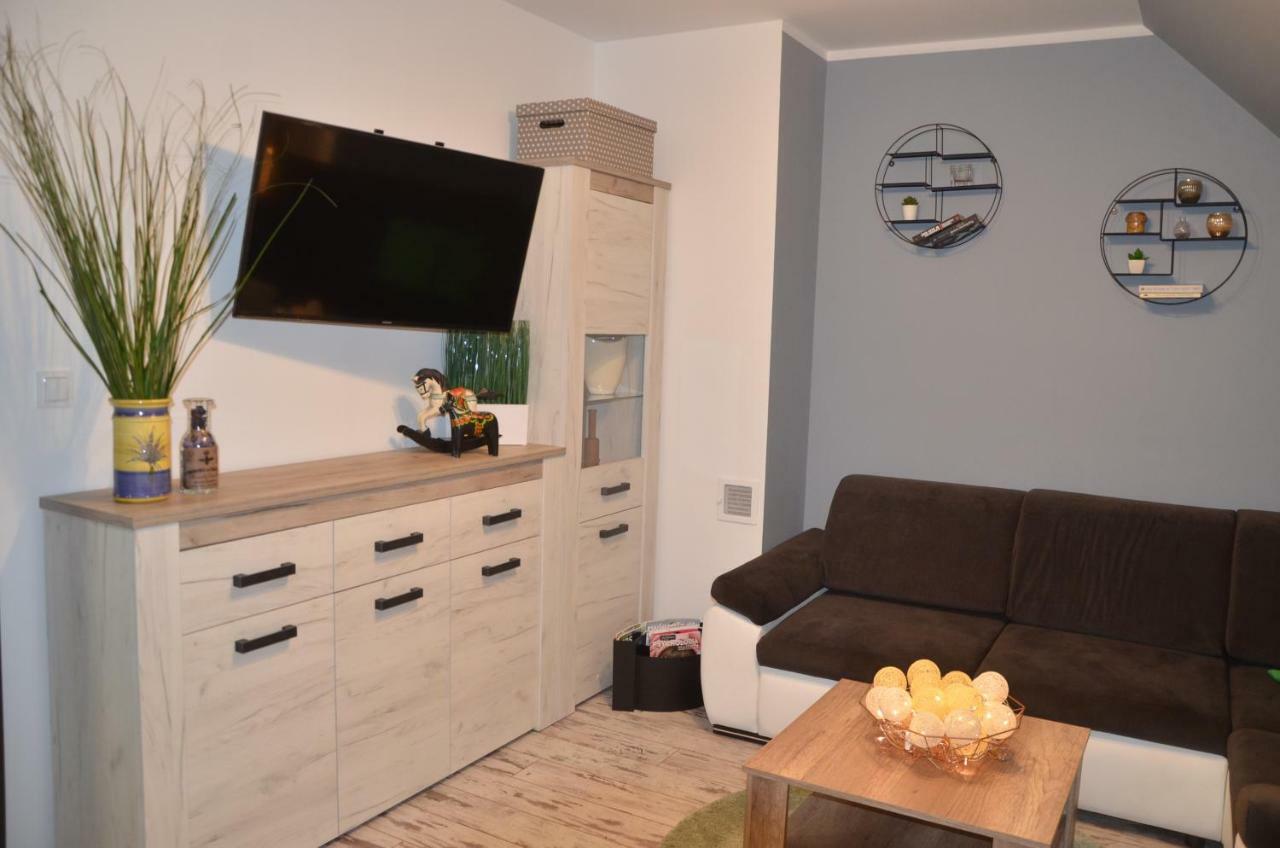 Przy Zrodelku Apartment *