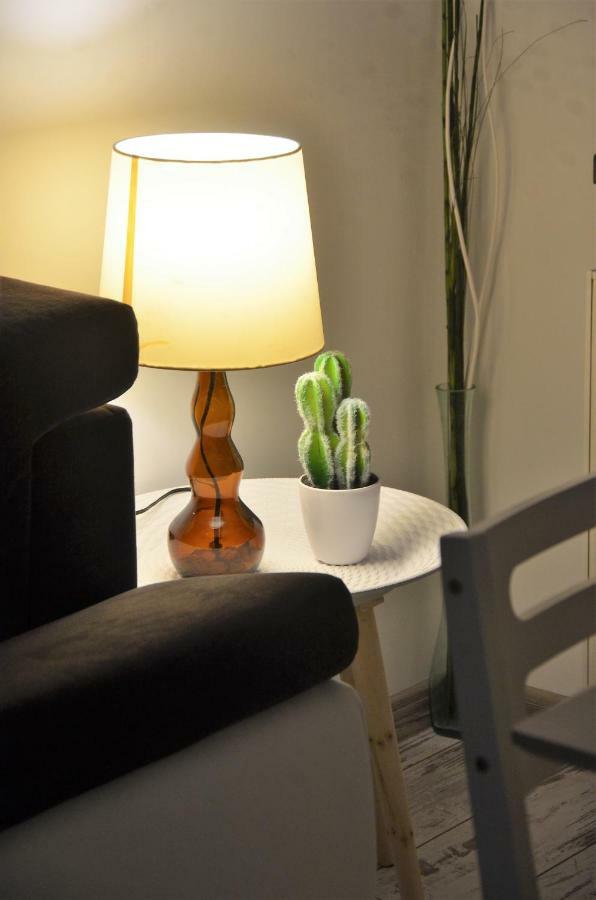 Przy Zrodelku Apartment *